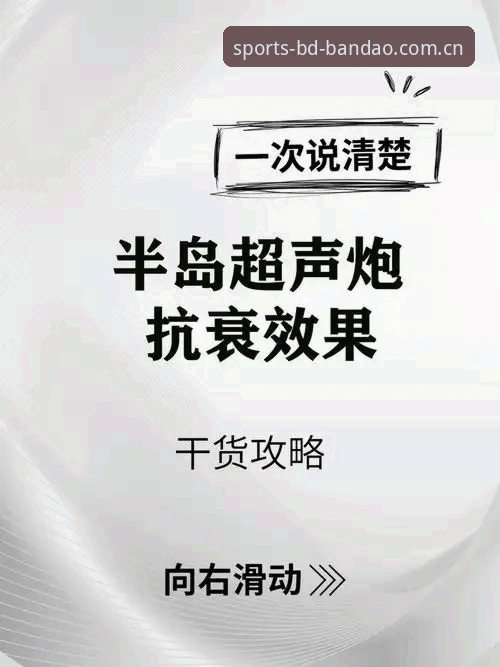 半岛综合平台下载安全性全面解析：新手必读的深度指南